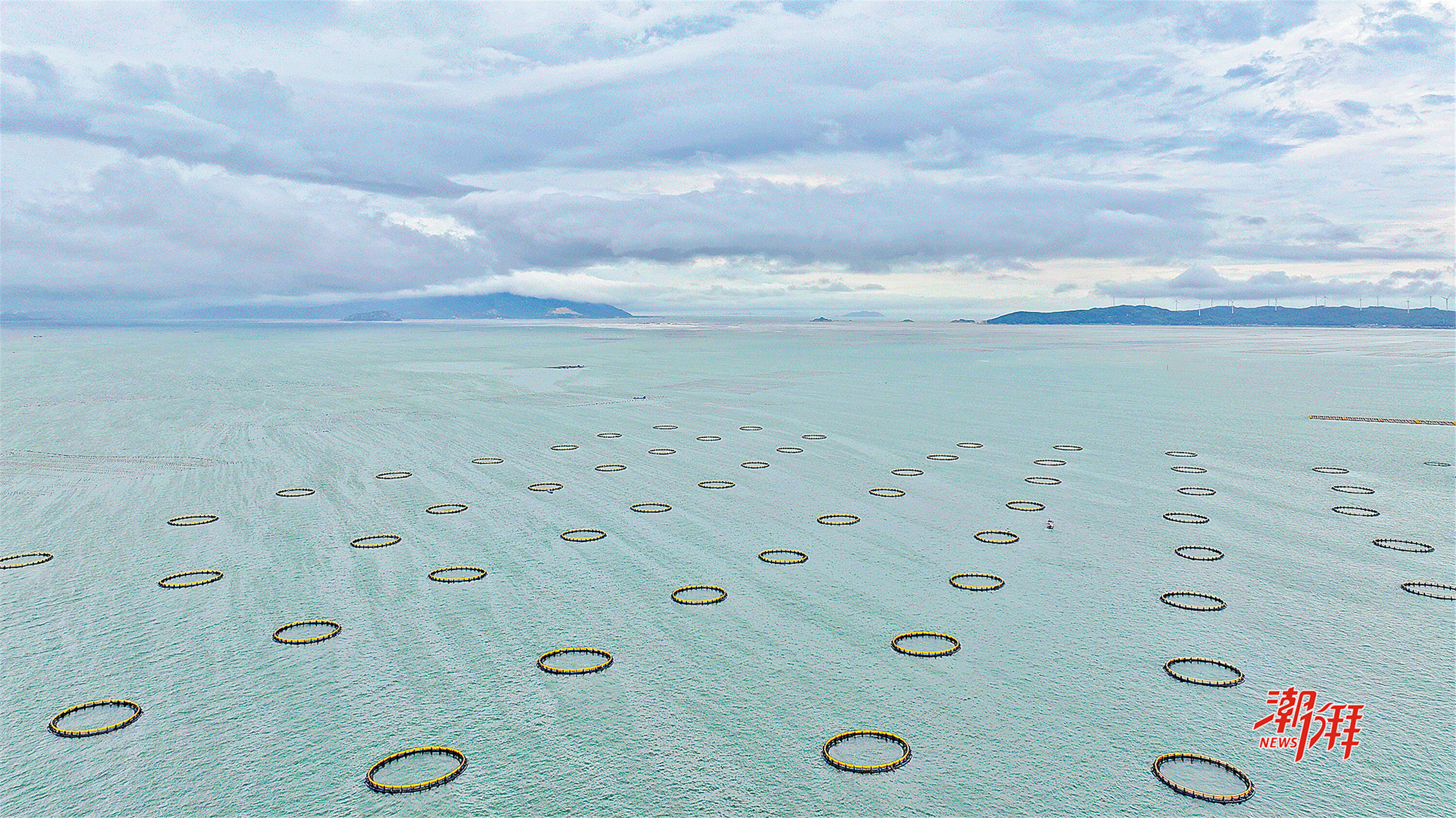 饒平縣柘林灣附近海域，一口口新型重力式深水網箱星羅棋布，蔚為壯觀。潮州日報全媒體記者 謝平勛 攝_副本.jpg