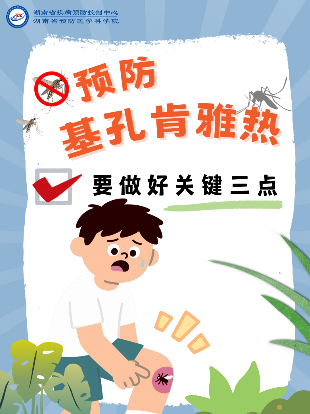 1-預(yù)防基孔肯雅熱做好關(guān)鍵三點(diǎn).png